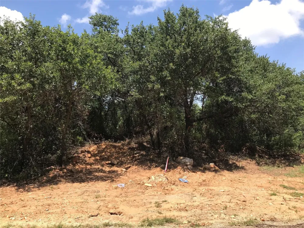 1190 Lakeview Drive Palo Pinto, TX 76484