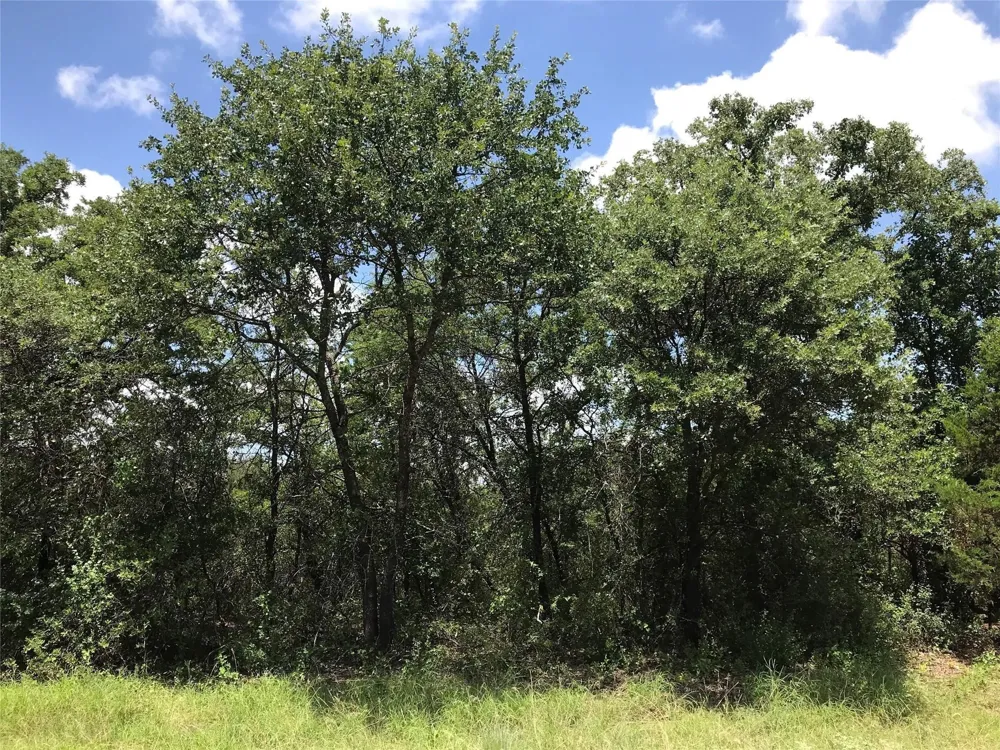 1190 Lakeview Drive Palo Pinto, TX 76484