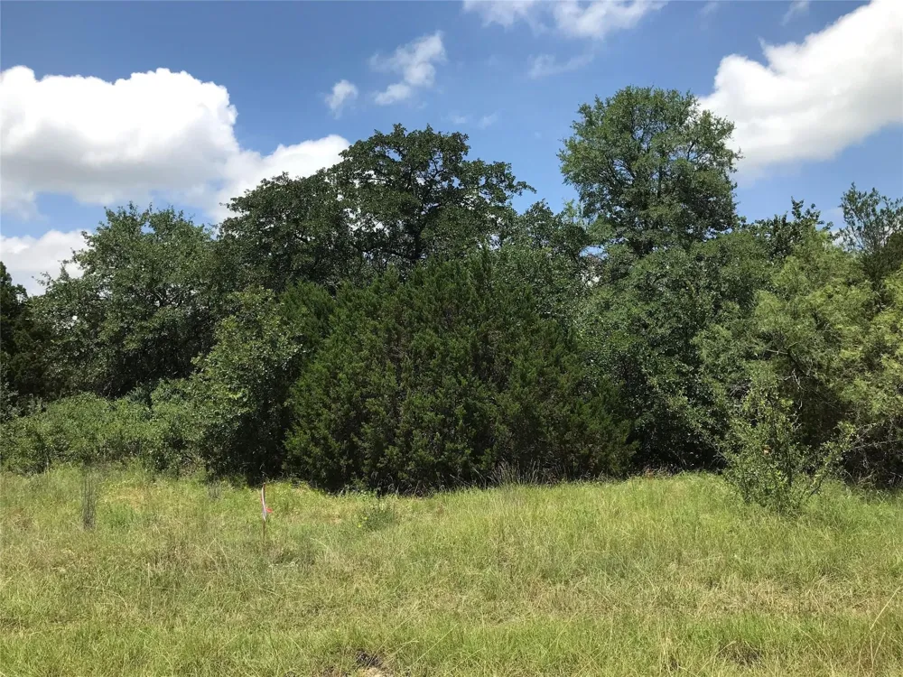 1190 Lakeview Drive Palo Pinto, TX 76484