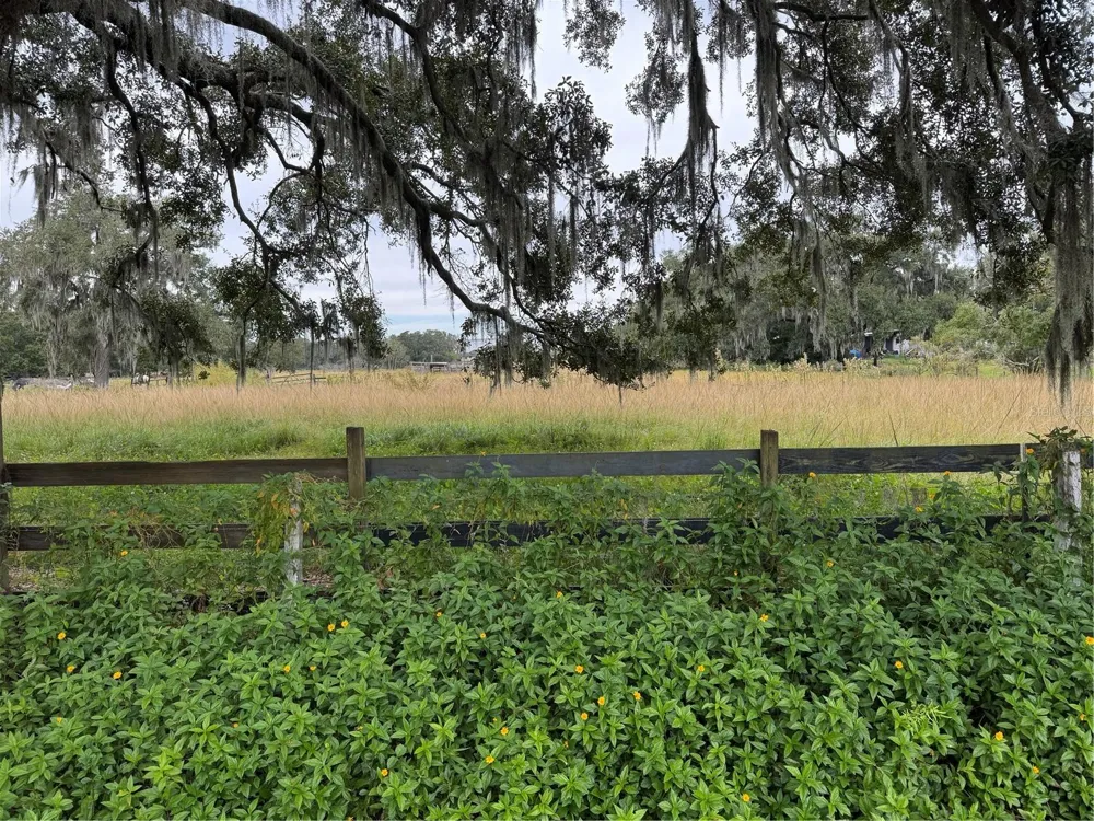 0 CASON ROAD Plant City, FL 33566