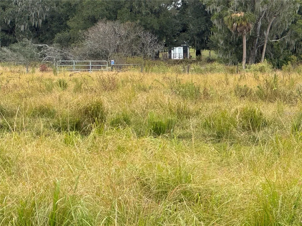 0 CASON ROAD Plant City, FL 33566