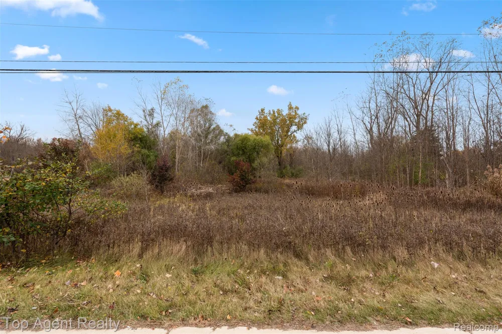 433 Rochester Road Leonard Village, MI 48367