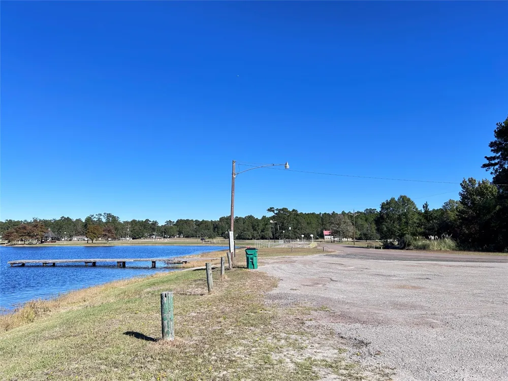 16 Hackberry Drive Village Mills, TX 77663