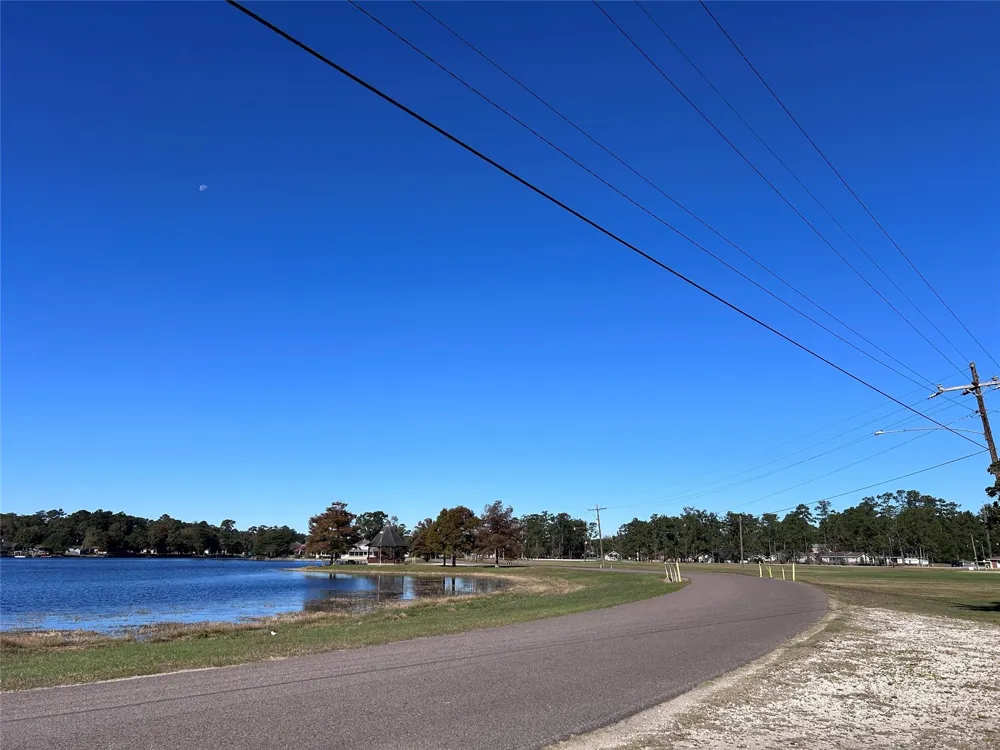 16 Hackberry Drive Village Mills, TX 77663