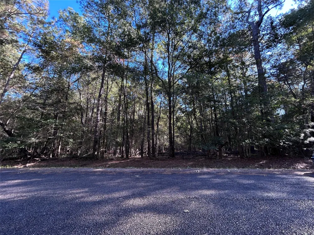 16 Hackberry Drive Village Mills, TX 77663