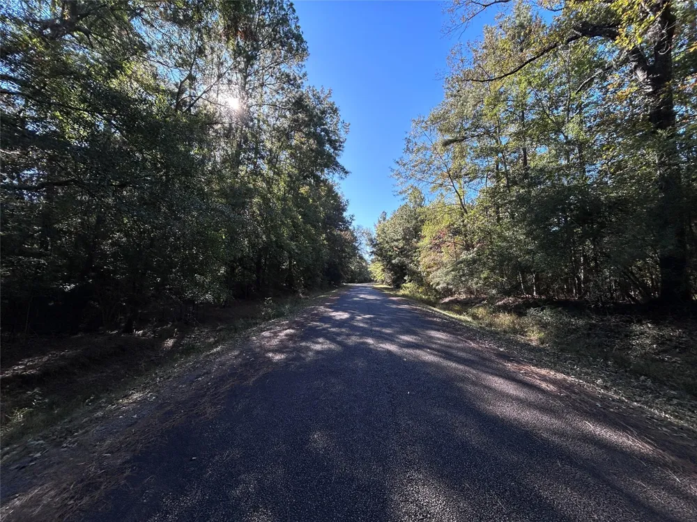 16 Hackberry Drive Village Mills, TX 77663