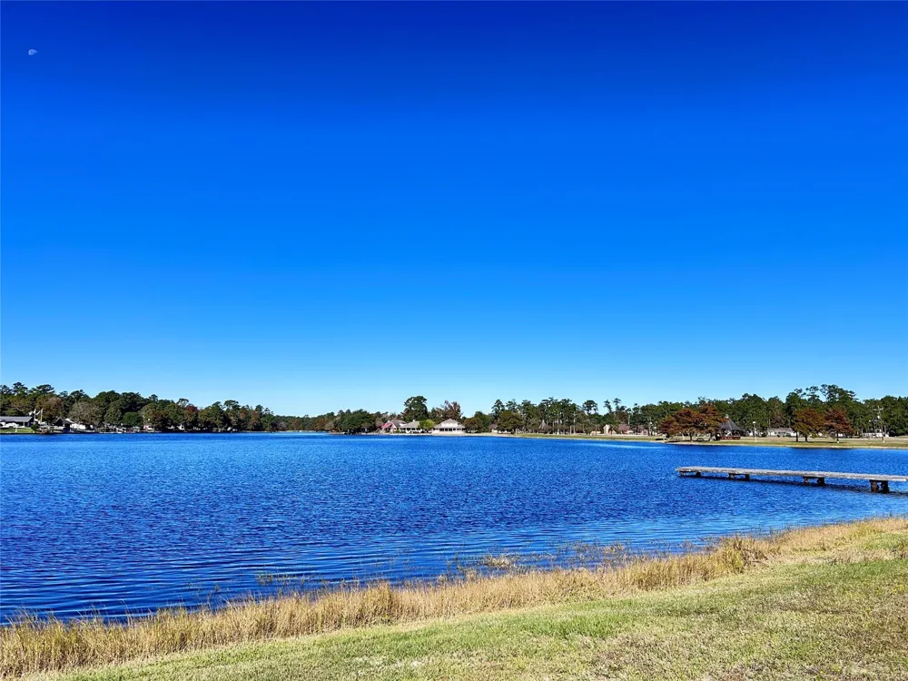 16 Hackberry Drive Village Mills, TX 77663