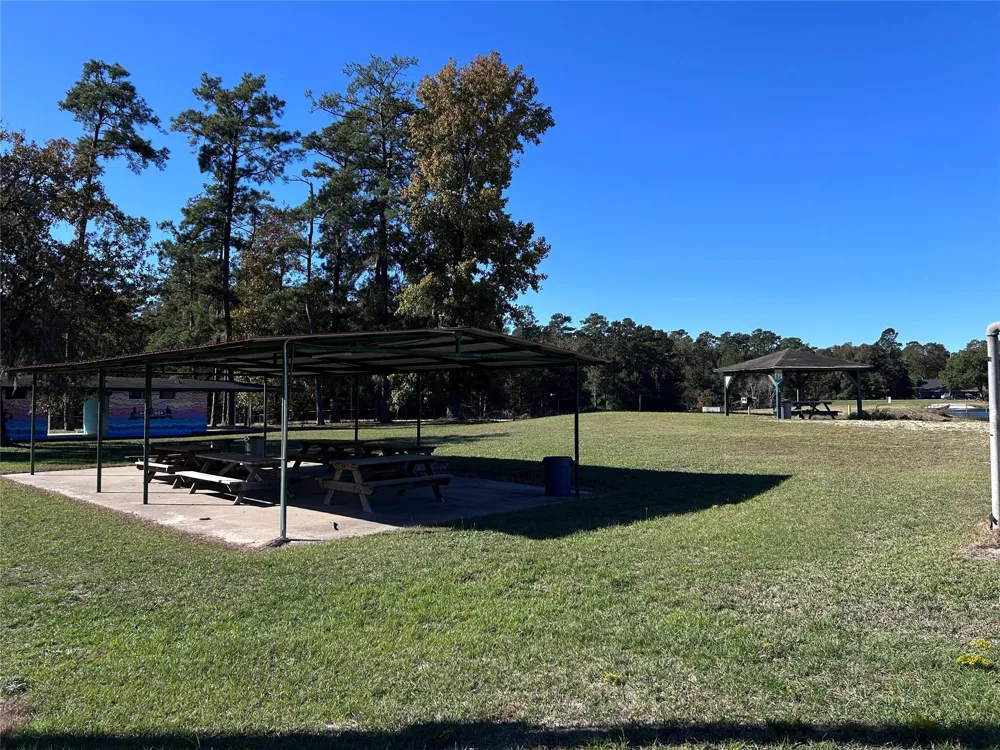 16 Hackberry Drive Village Mills, TX 77663