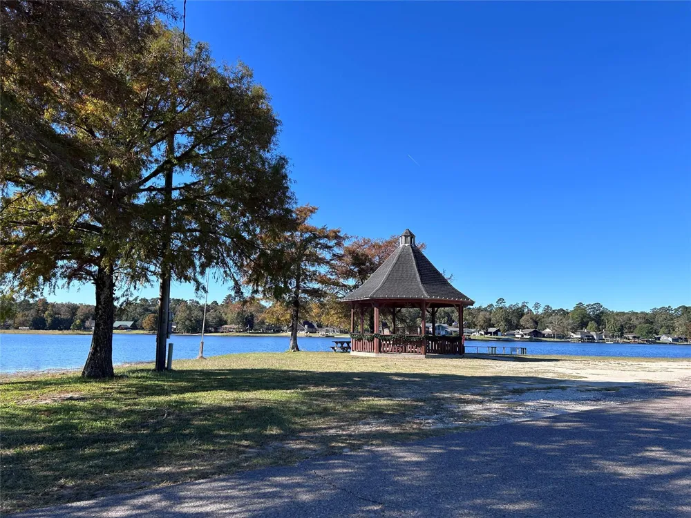 16 Hackberry Drive Village Mills, TX 77663