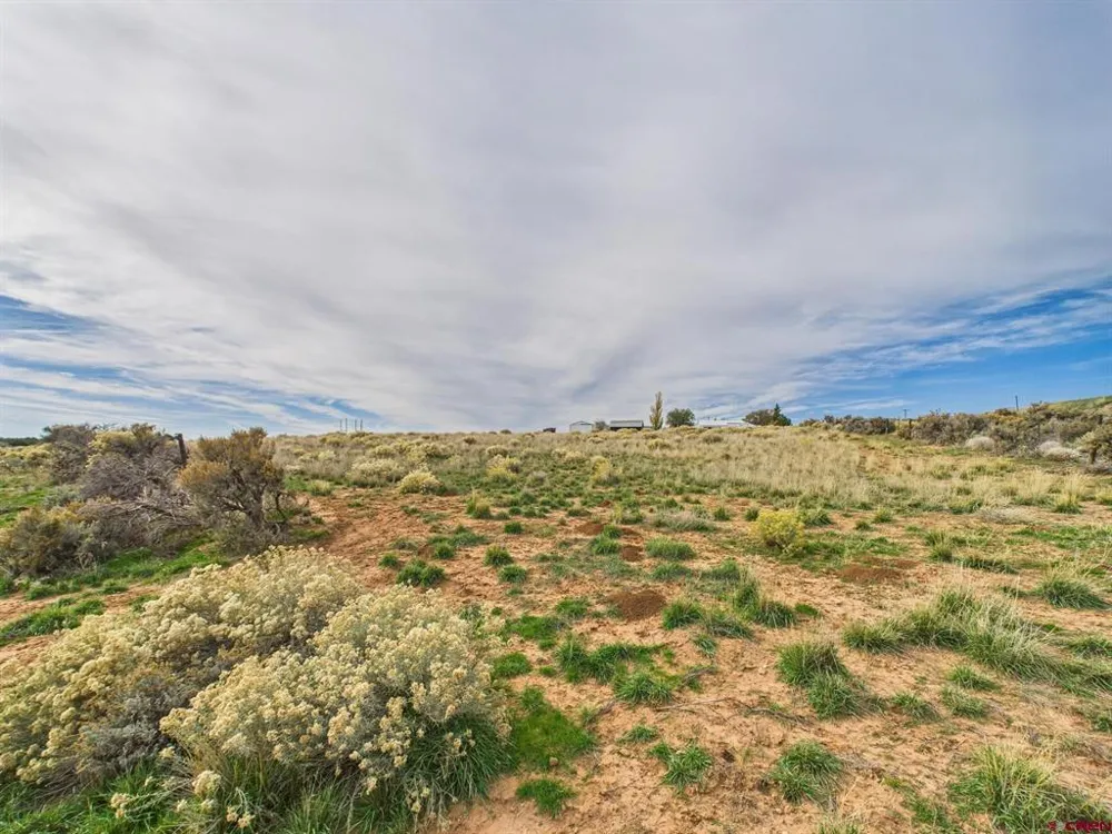 63645 Highway 491 Dove Creek, CO 81324