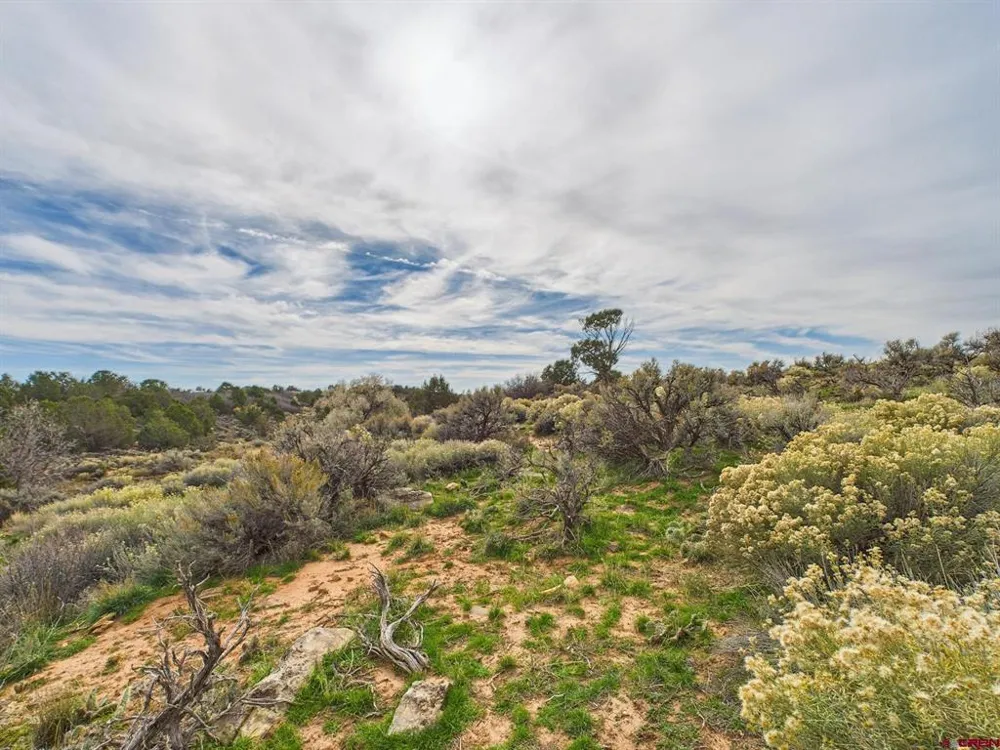 63645 Highway 491 Dove Creek, CO 81324