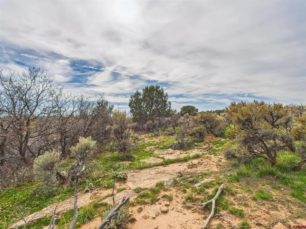 63645 Highway 491 Dove Creek, CO 81324