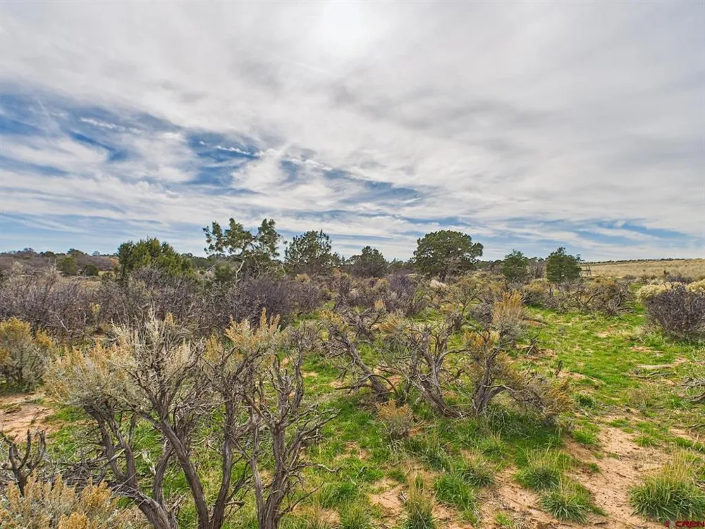 63645 Highway 491 Dove Creek, CO 81324