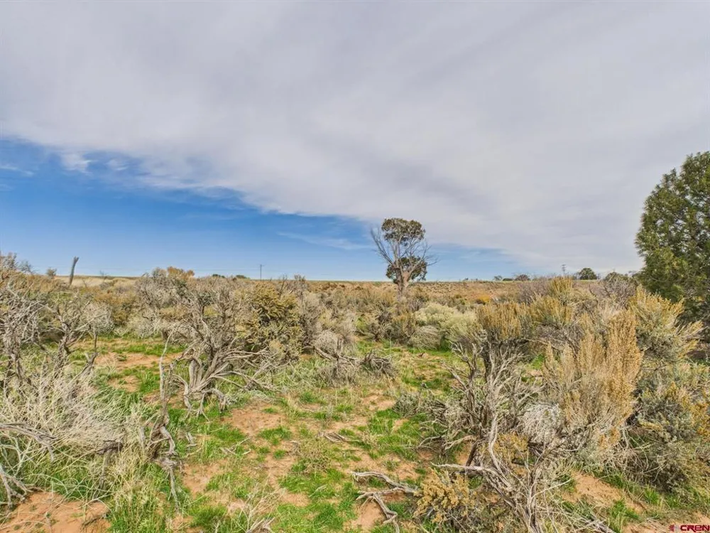 63645 Highway 491 Dove Creek, CO 81324