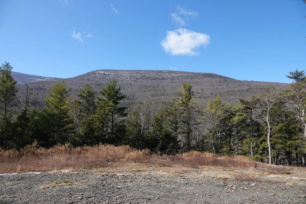 Tbd Manorville Road Saugerties, NY 12477