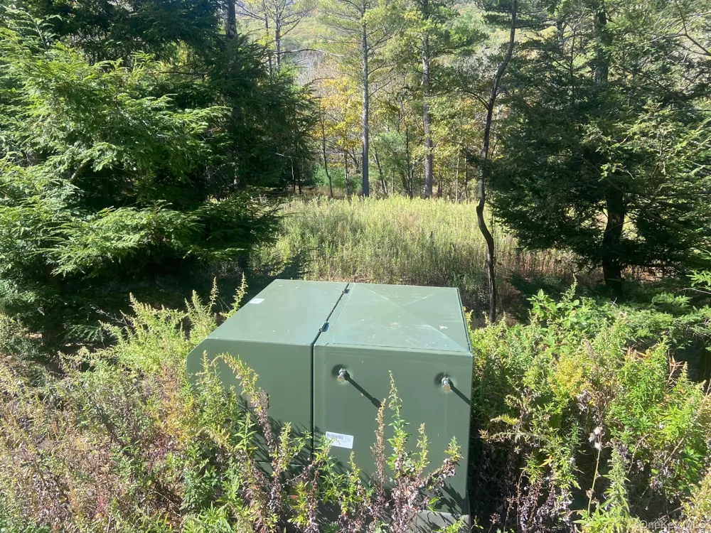 Tbd Manorville Road Saugerties, NY 12477