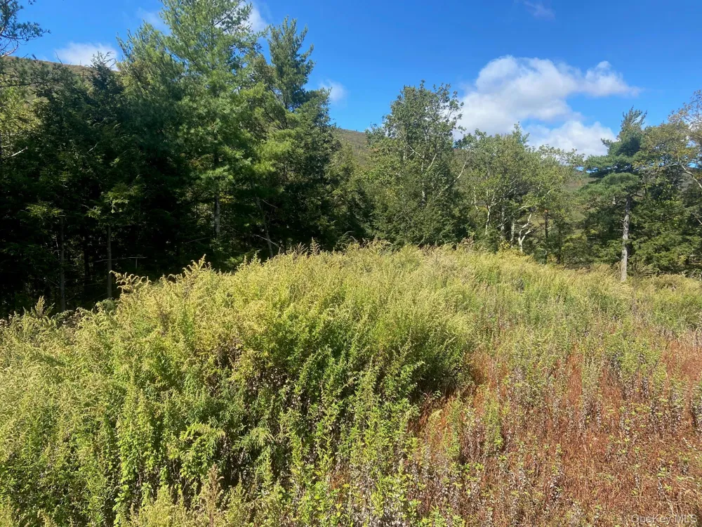 Tbd Manorville Road Saugerties, NY 12477