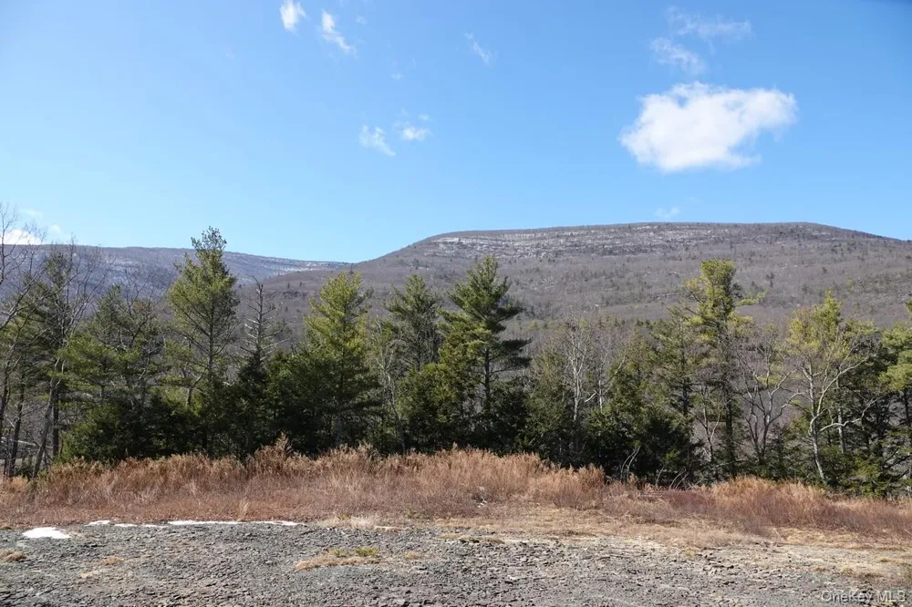 Tbd Manorville Road Saugerties, NY 12477