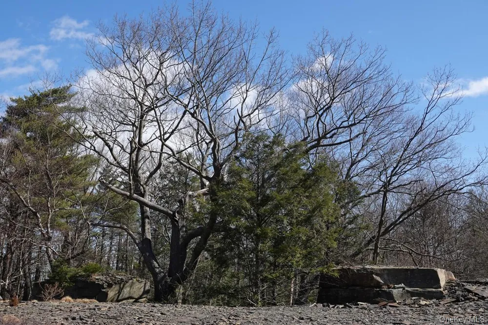 Tbd Manorville Road Saugerties, NY 12477