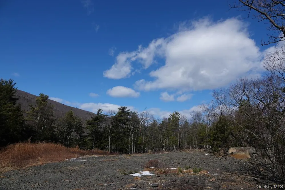 Tbd Manorville Road Saugerties, NY 12477