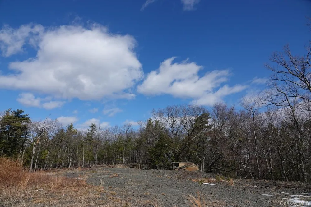 Tbd Manorville Road Saugerties, NY 12477