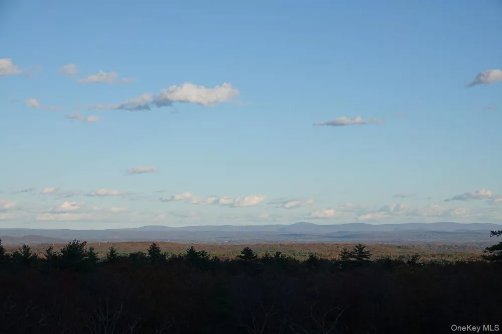 Tbd Manorville Road Saugerties, NY 12477
