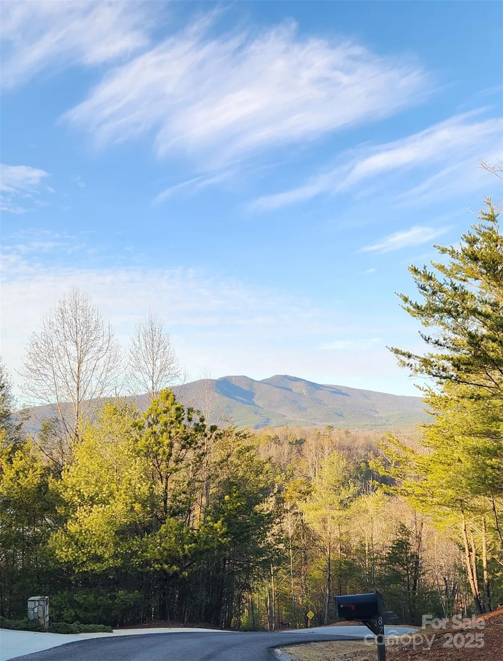 152 Dockside Drive #7A Nebo, NC 28761