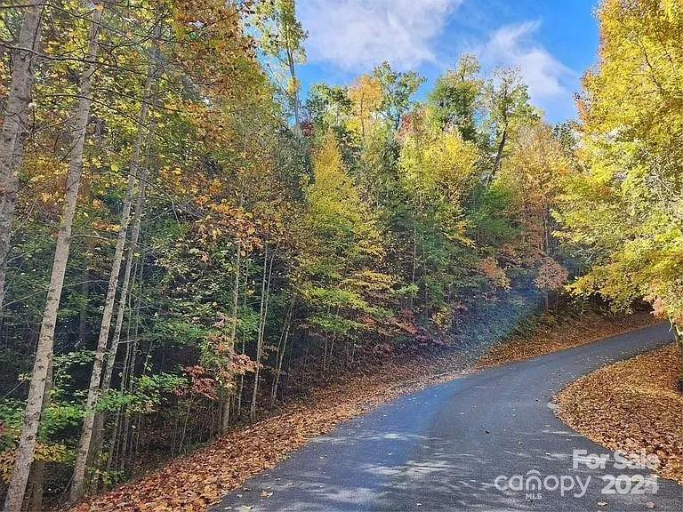 152 Dockside Drive #7A Nebo, NC 28761