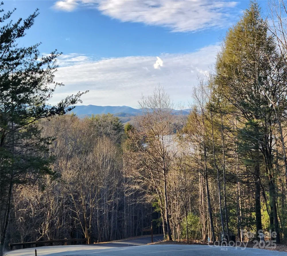 152 Dockside Drive #7A Nebo, NC 28761