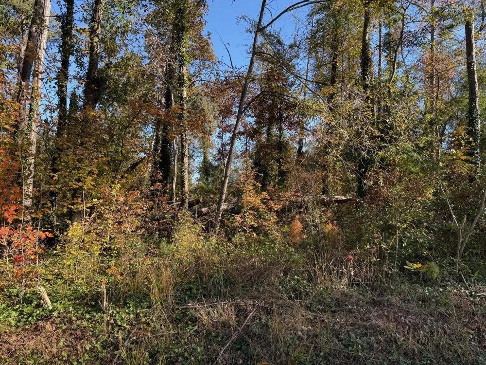 0 Apache Road Jackson, GA 30233