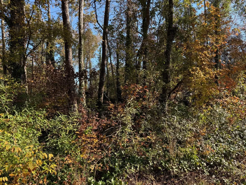 0 Apache Road Jackson, GA 30233