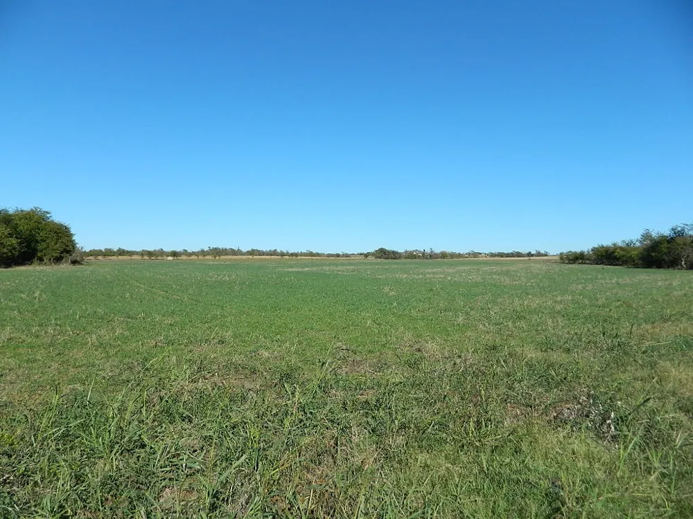 2435 County Road 247 Valley View, TX 76272