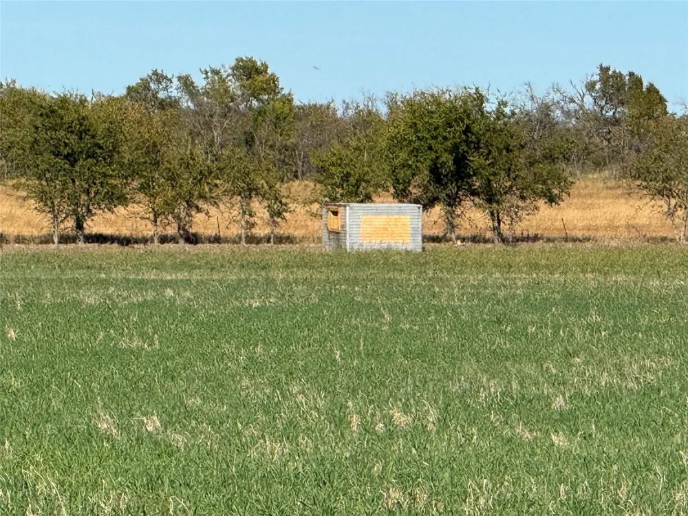 2435 County Road 247 Valley View, TX 76272