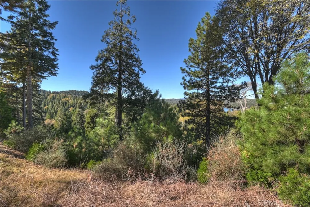 115 Mill Pond Lake Arrowhead, CA 92352