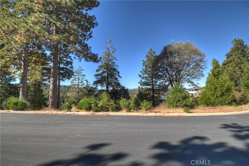 115 Mill Pond Lake Arrowhead, CA 92352