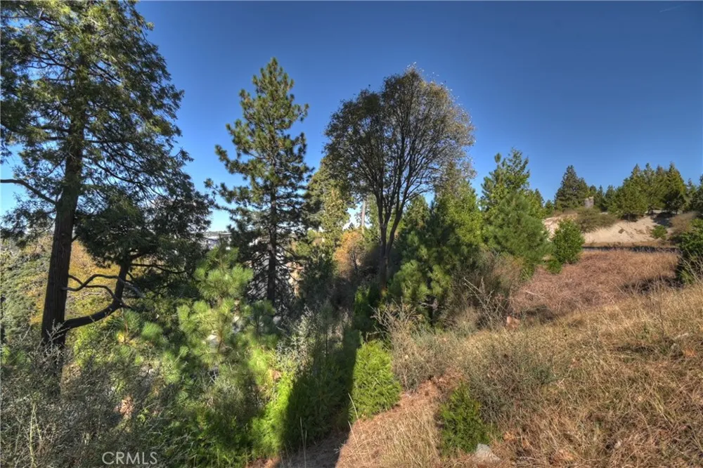 115 Mill Pond Lake Arrowhead, CA 92352