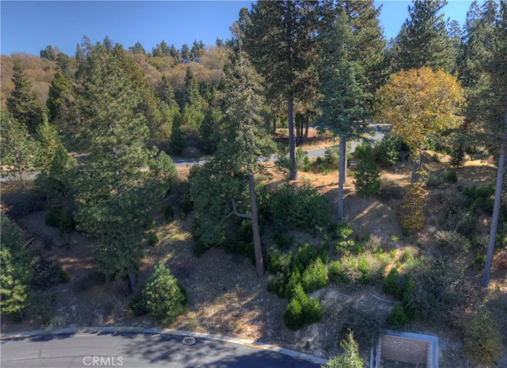 115 Mill Pond Lake Arrowhead, CA 92352