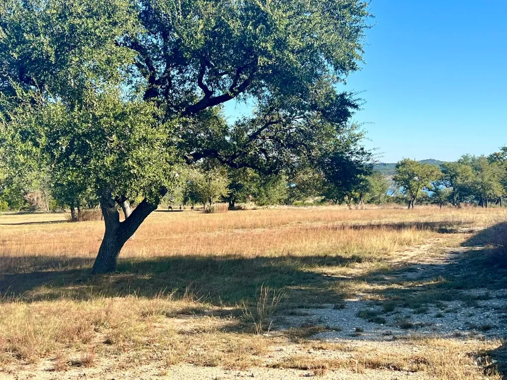 1217 Libby Lookout Canyon Lake, TX 78133