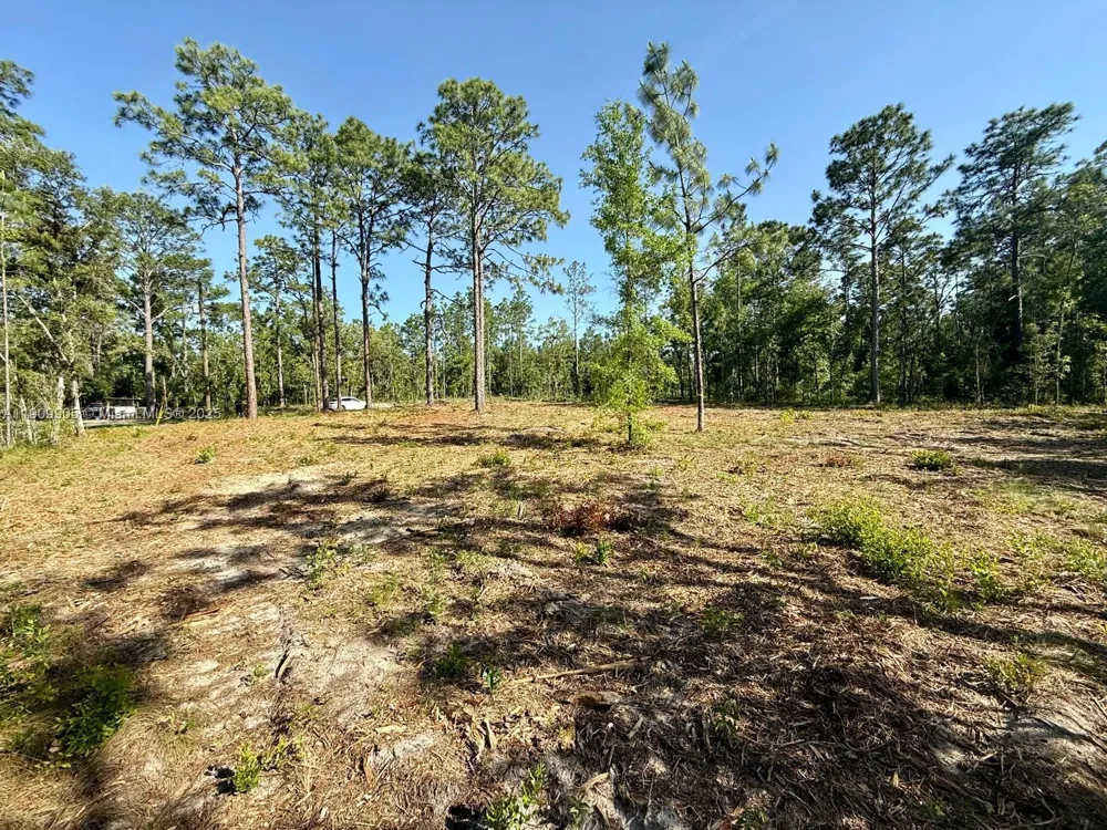 NW 157th Ave Williston, FL 32696
