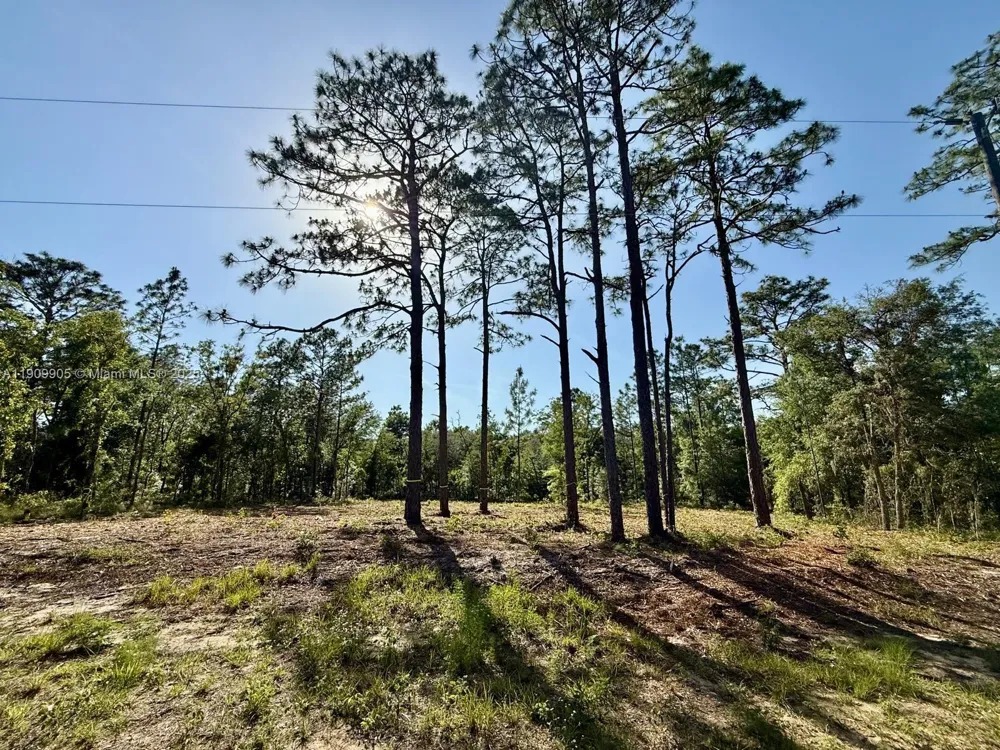 NW 157th Ave Williston, FL 32696
