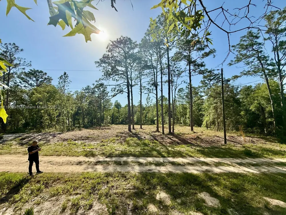 NW 157th Ave Williston, FL 32696