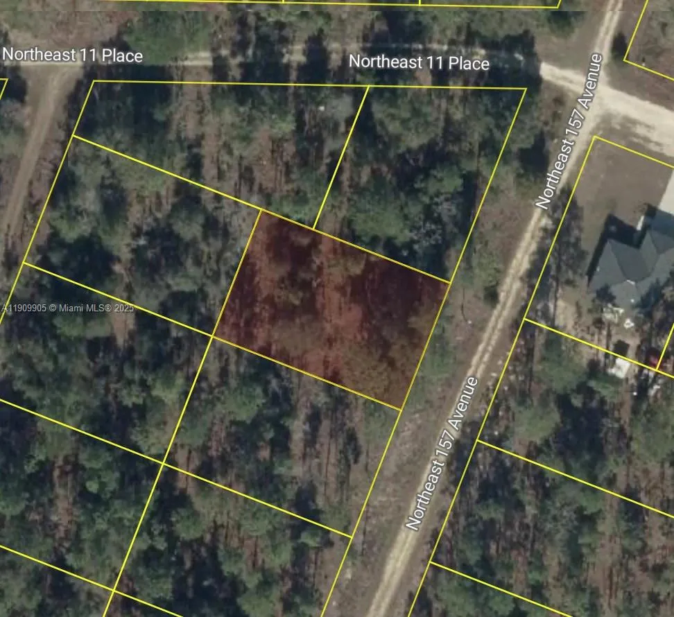 NW 157th Ave Williston, FL 32696