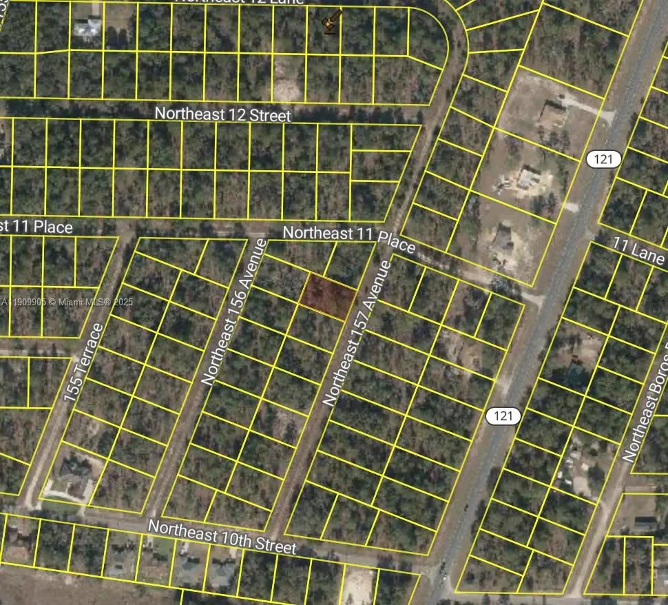 NW 157th Ave Williston, FL 32696
