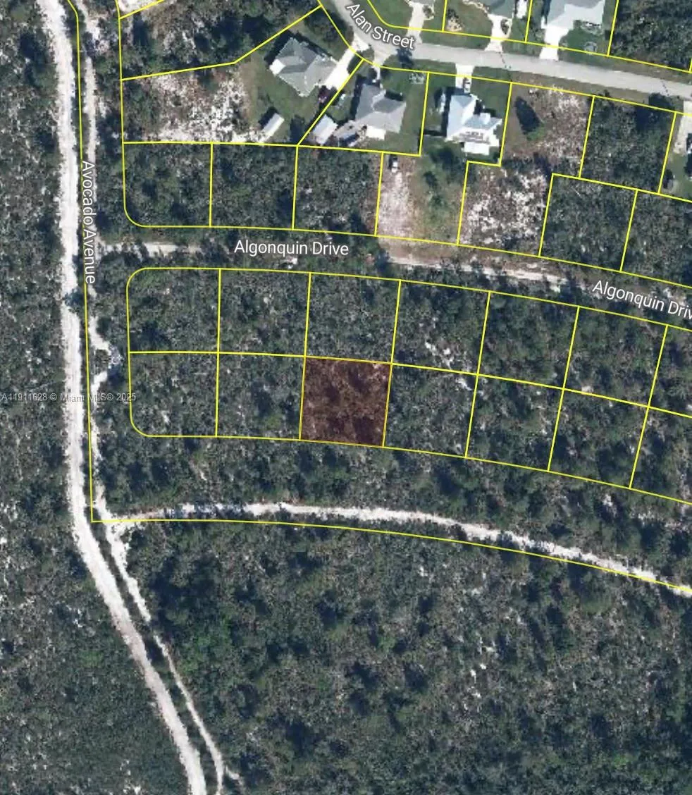 2224 Carla Ave Sebring, FL 33875