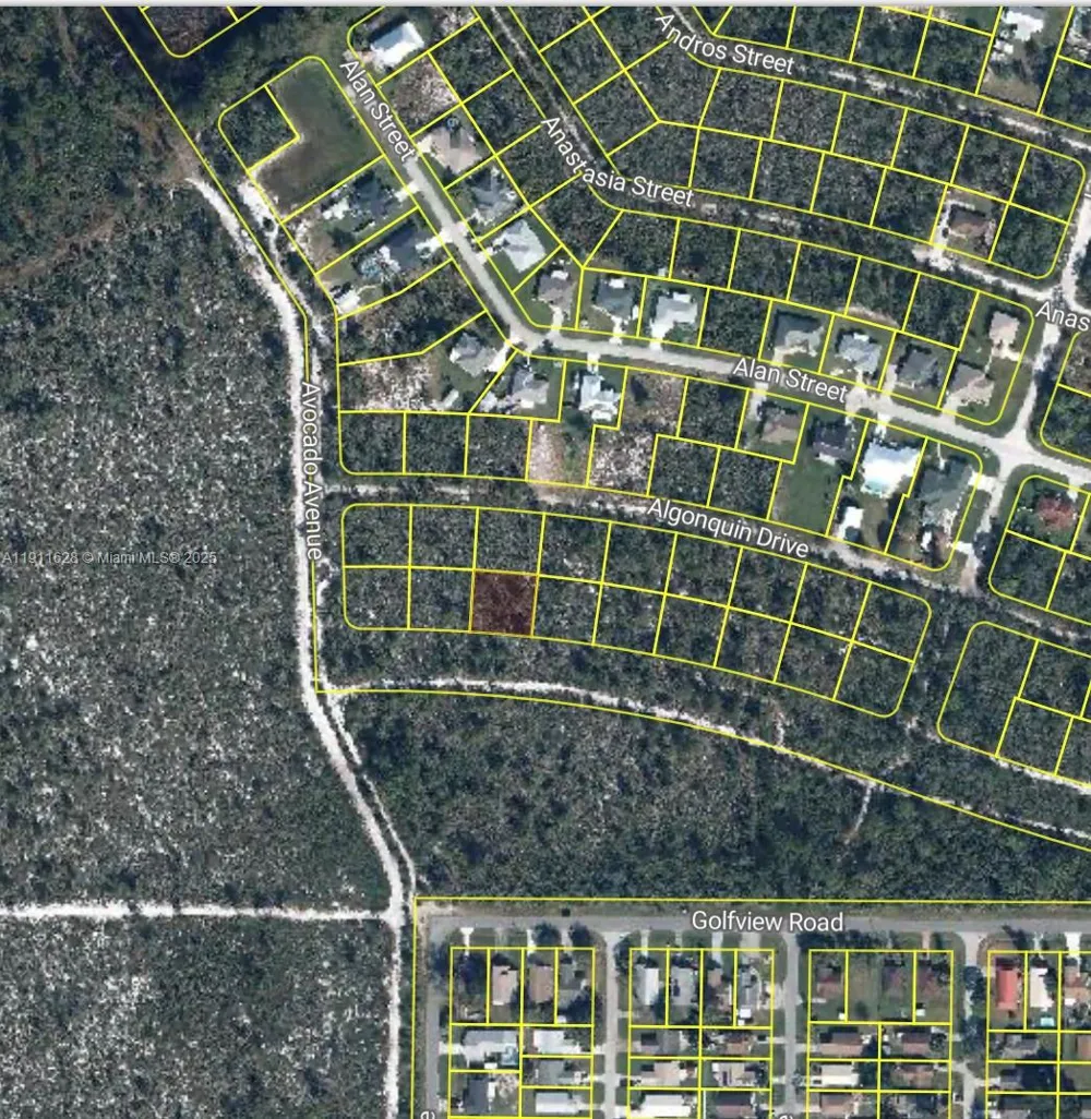 2224 Carla Ave Sebring, FL 33875