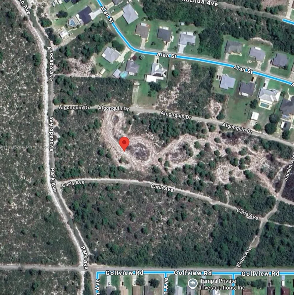 2224 Carla Ave Sebring, FL 33875