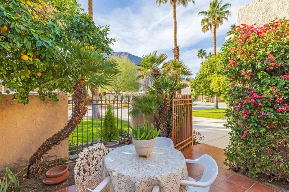 202 Pointing Rock Drive #6 Borrego Springs, CA 92004
