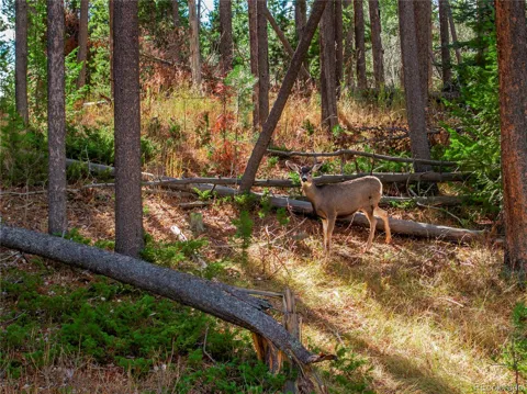 Lot 216620 Indian Springs Road