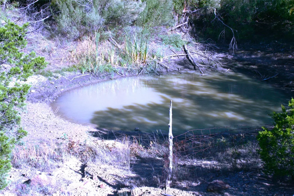 Upper Brad Strawn, TX 76475