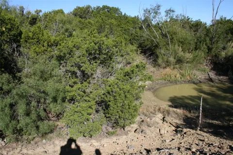 Upper Brad